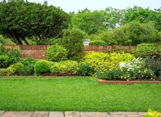 landscaping services Saratoga